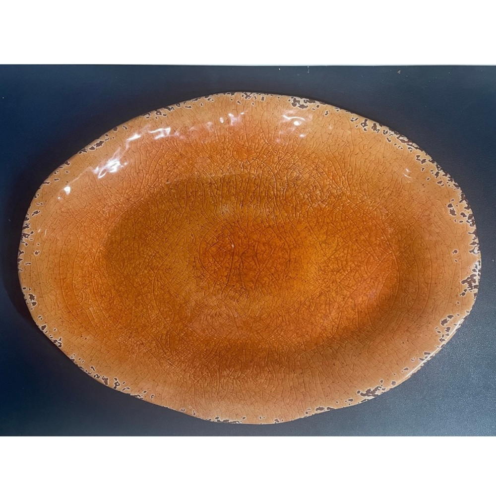 Pier 1 NWT Carmelo plate big  plastic  plate // for camping / home party